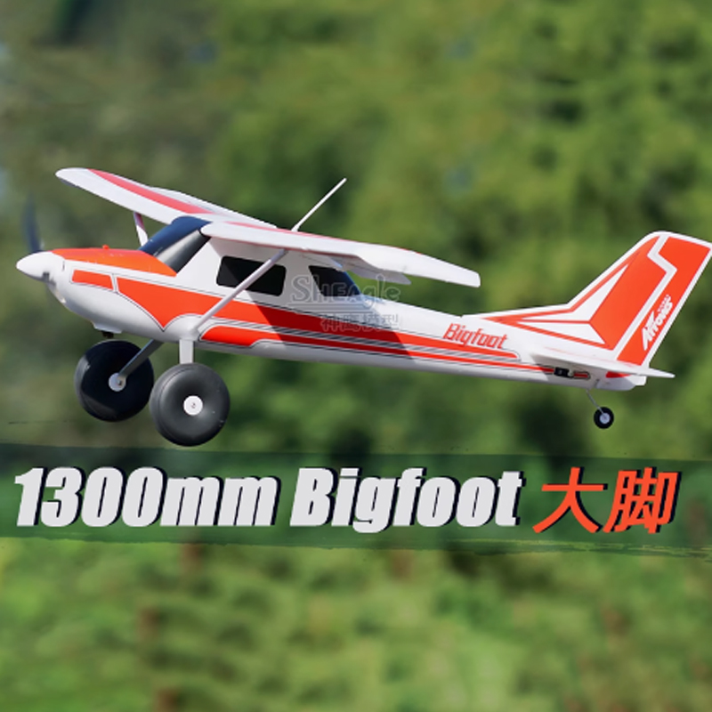 Blue Arrows 1300mm Big foot Bi - đánh giá và giá Rc Hobby Plane